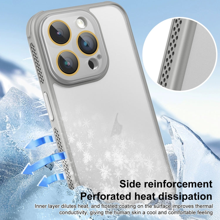 For iPhone 16 Plus Side Cooling Skin Feel Frosted Phone Case(Black) - iPhone 16 Plus Cases by buy2fix | Online Shopping UK | buy2fix