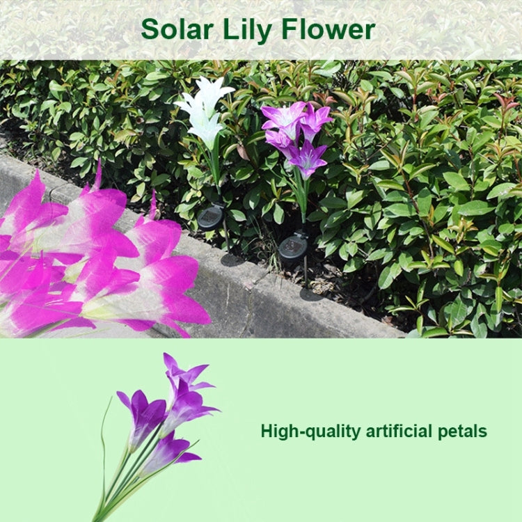 Simulated Lily Flower 4 Heads Solar Powered Outdoor IP55 Waterproof LED Decorative Lawn Lamp, White Light (Pink) - Solar Lights by buy2fix | Online Shopping UK | buy2fix