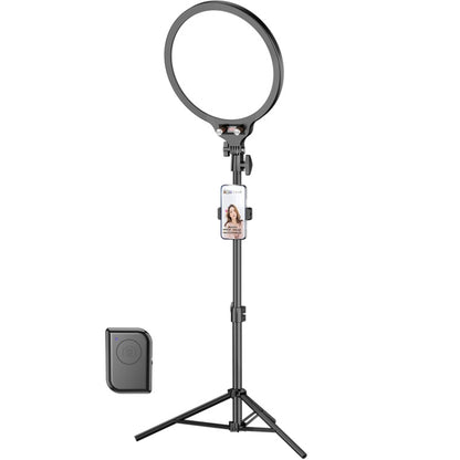 10.2 Inch Full-Screen Selfie Ring Light Tripod Set for Live Stream, Spec: 210cm Bracket With Remote Control - Selfie Light by buy2fix | Online Shopping UK | buy2fix