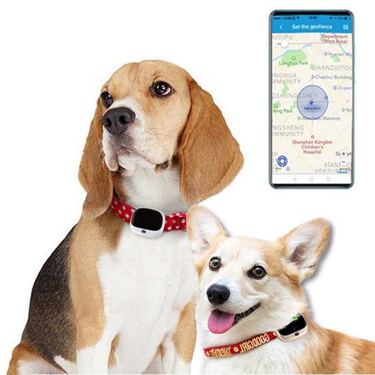 RF-V43 A Style IP67 Waterproof GPS + LBS + WiFi Pet Locator Pet Collar Tracking Device For Asia/Europe/Africa/Australia(White) - Pet Tracker by buy2fix | Online Shopping UK | buy2fix