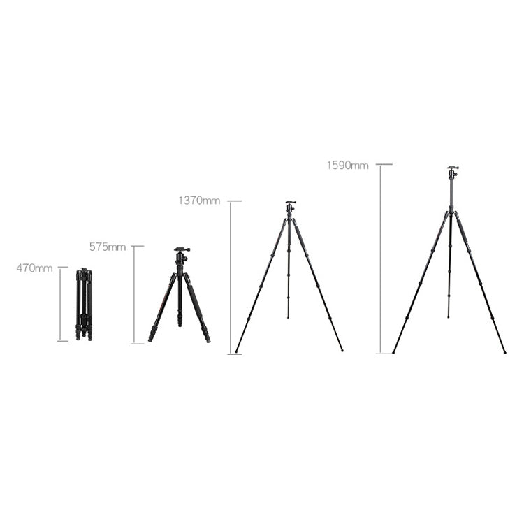 TRIOPO Oubao TA300 Adjustable Portable Aluminum Alloy Tripod with Ball Head for SLR Camera - Camera Accessories by TRIOPO | Online Shopping UK | buy2fix