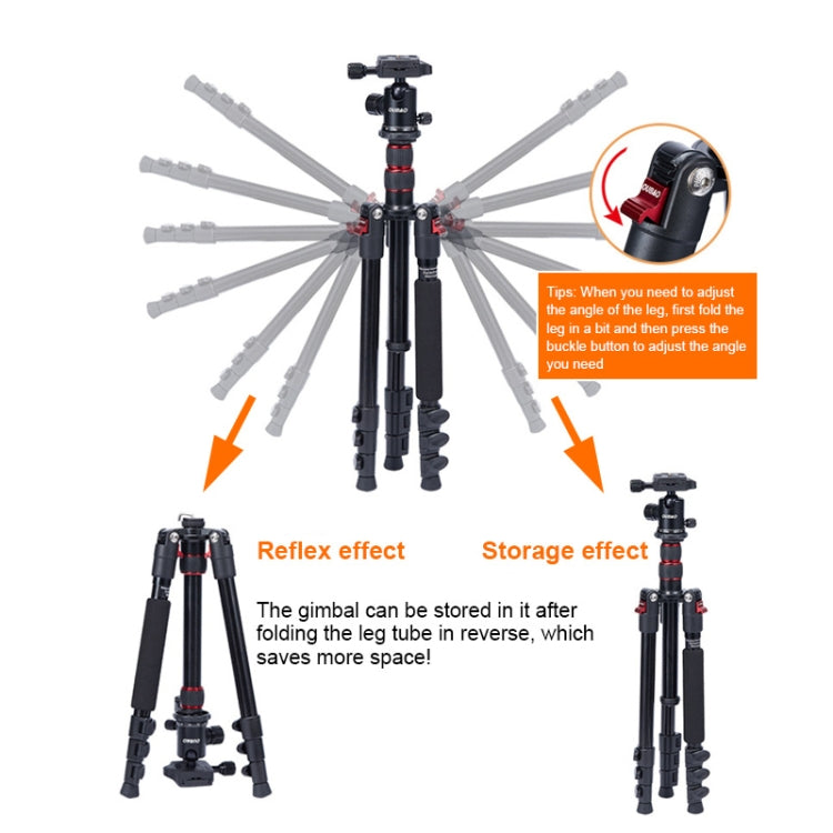 TRIOPO K2508S+B1S Adjustable Portable  Aluminum Alloy Tripod with Ball Head for SLR Camera(Black) - Camera Accessories by TRIOPO | Online Shopping UK | buy2fix