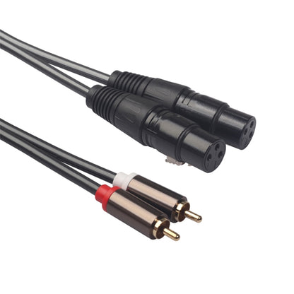 366120-15 2 RCA Male to 2 XLR 3 Pin Female Audio Cable, Length: 1.5m - Consumer Electronics by buy2fix | Online Shopping UK | buy2fix