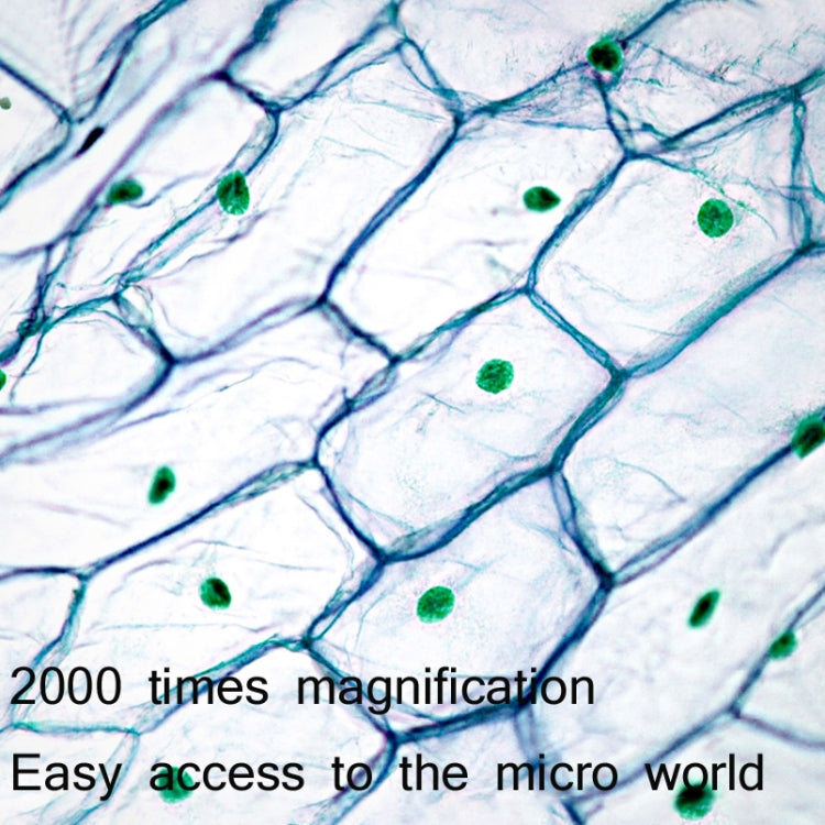 2000X WIFI High Magnification Biological Microscope USB HD Digital Magnifying Glass - Digital Microscope by buy2fix | Online Shopping UK | buy2fix