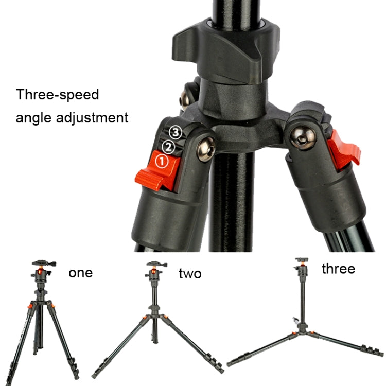 TRIOPO K268+KJ36 DSLR Tripod Photography Stand Portable Cell Phone Micro SLR Tripod - Tripods by TRIOPO | Online Shopping UK | buy2fix