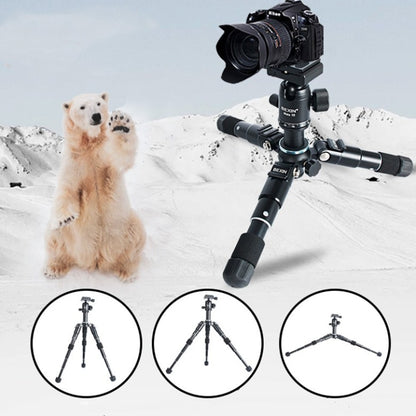 BEXIN Mate 10 Mobile Phone Camera Desktop Aluminum Alloy Tripod Mount Live Broadcast Selfie Stick Tripod - Tripods by BEXIN | Online Shopping UK | buy2fix